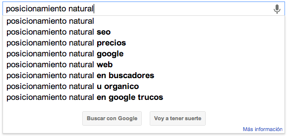 Posicionamiento SEO 2013