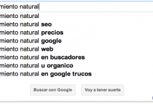 8 Consejos para el Posicionamiento SEO 2013